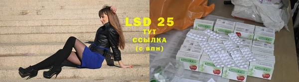 spice Богородск