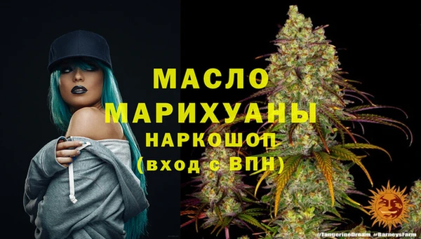 spice Богородск