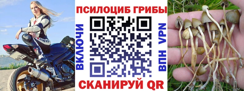 ОМГ ОМГ онион  Красавино  Псилоцибиновые грибы мухоморы 