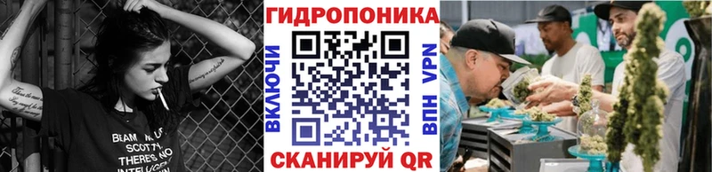 Канабис семена  Красавино 